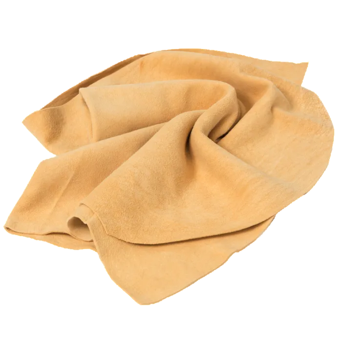 DABĪGĀS ZAMŠĀDAS DVIELĪTIS